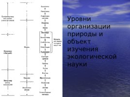 Экология как наука. История становления экологии, слайд 23