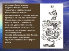 Экология как наука. История становления экологии, слайд 40