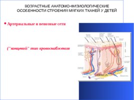 Гнойно-восполительные заболевания кожи и подкожной клетчатки у детей, слайд 6