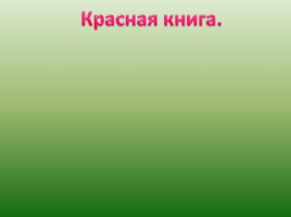 Поле - природное сообщество, слайд 24