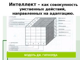 Специфика познавательных процессов, слайд 51