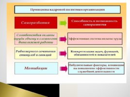 Основы кадровой политики организации, слайд 12