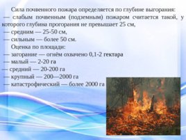 Природные пожары, слайд 14