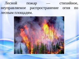 Природные пожары, слайд 2