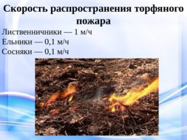 Природные пожары, слайд 22