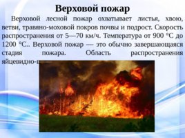 Природные пожары, слайд 9