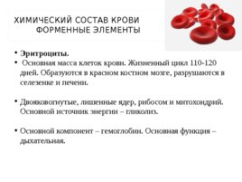 Биохимия крови, слайд 4