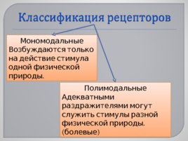 Сенсорные системы, слайд 8