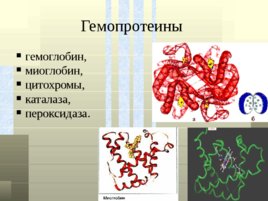 Классификация белков, слайд 26