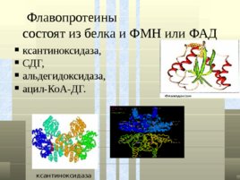 Классификация белков, слайд 35