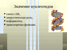 Классификация белков, слайд 53