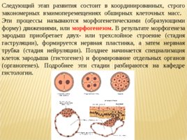 Биология развития, слайд 68