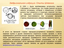 Биология развития, слайд 75