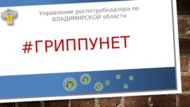#гриппунет управление роспотребнадзора по владимирской области, слайд 1