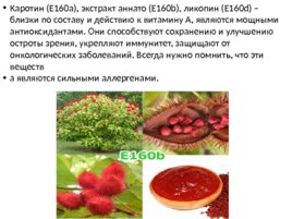 Химия пищевых продуктов, слайд 148