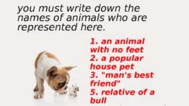 Животные на английском языке:" Animals", слайд 18