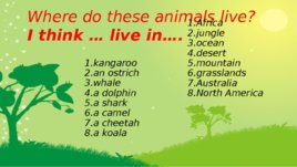 Животные на английском языке:" Animals", слайд 19
