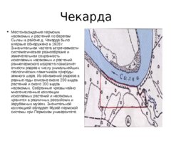 Охраняемые территории Суксунского района, слайд 16