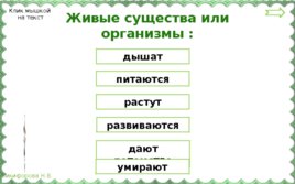 Разнообразие природы, слайд 4