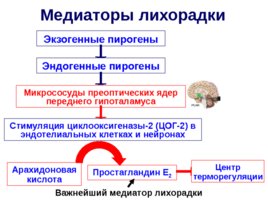 Воспаление, слайд 47