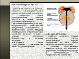 Вегетотропные средства - 2 часть, слайд 12