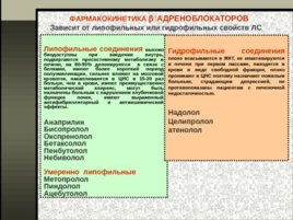 Вегетотропные средства - 2 часть, слайд 26