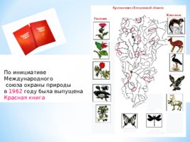 Красная книга Кузбасса, слайд 3