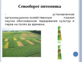 Лесные питомники: обработка почвы в питомнике, слайд 16
