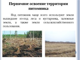 Лесные питомники: обработка почвы в питомнике, слайд 8