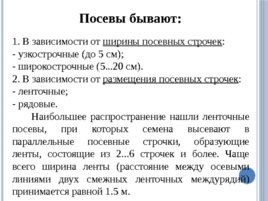 Лесные питомники: технология выращивания сеянцев, слайд 22