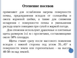 Лесные питомники: технология выращивания сеянцев, слайд 44