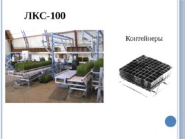 Лесные питомники: технология выращивания сеянцев, слайд 66
