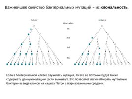 Мутации, слайд 6