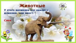 Интерактивная игра Любители природы для 4 класса, слайд 15