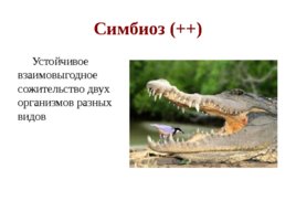 По биологии Типы экологических взаимодействий, слайд 11