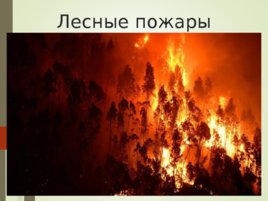 Пожары и другие природные проишествия, слайд 24