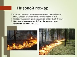 Пожары и другие природные проишествия, слайд 26