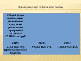 Программа развития загородного лагеря отдыха и оздоровления «Иванов Лог», слайд 9