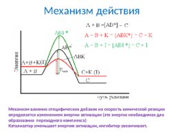 Кинетика химических реакций, слайд 18
