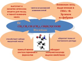 Аминокислоты (23.10), слайд 13