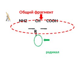 Аминокислоты (23.10), слайд 3