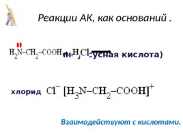 Аминокислоты (23.10), слайд 30