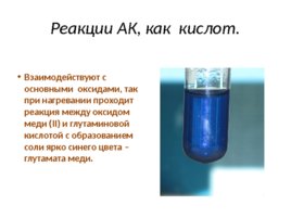 Аминокислоты (23.10), слайд 32