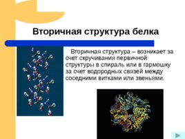 Белки – основа органической жизни, слайд 12