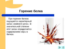 Белки – основа органической жизни, слайд 22