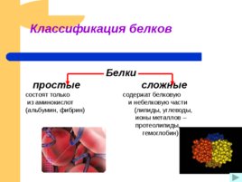 Белки – основа органической жизни, слайд 8