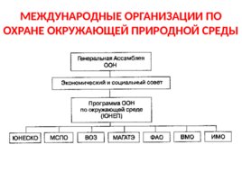 Природоохранная политика, слайд 24