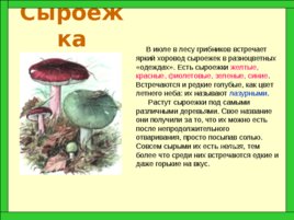 Царство грибов, слайд 14