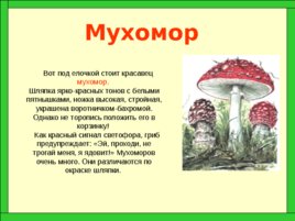Царство грибов, слайд 31