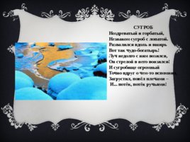 Трутнева Евгения Федоровна, слайд 10